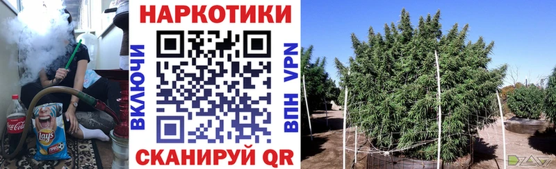 Какие есть наркотики Ленск mega ссылка СОЛЬ ГАШ COCAIN АМФ