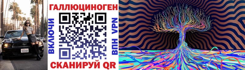 Псилоцибиновые грибы GOLDEN TEACHER  KRAKEN tor  Ленск 